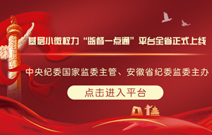 基層小微權力“監(jiān)督一點通”